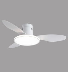 Living Room Ceiling Fan Chandelier - Mubimart -  