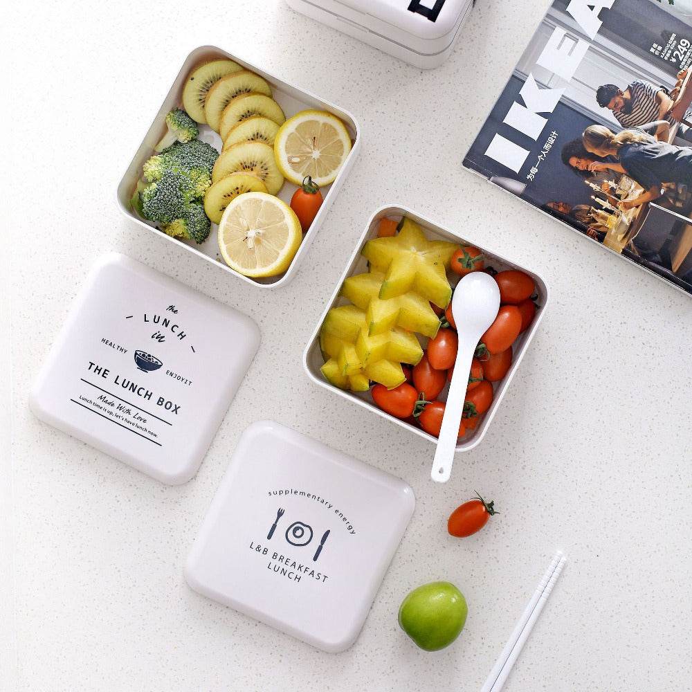 Lunch Box Square 2Layer Portable Bento Box - Mubimart