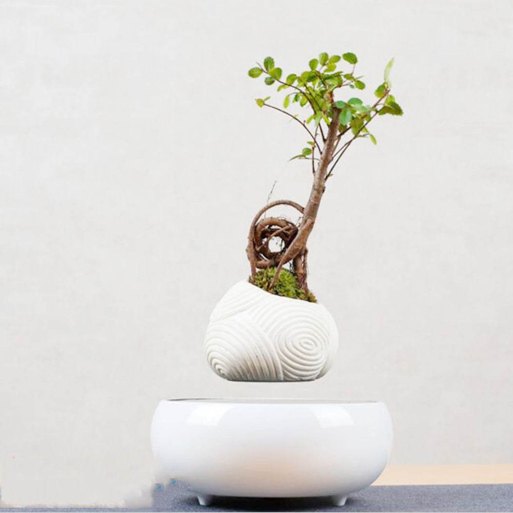 Magnetic Levitation Potted Plants - Mubimart