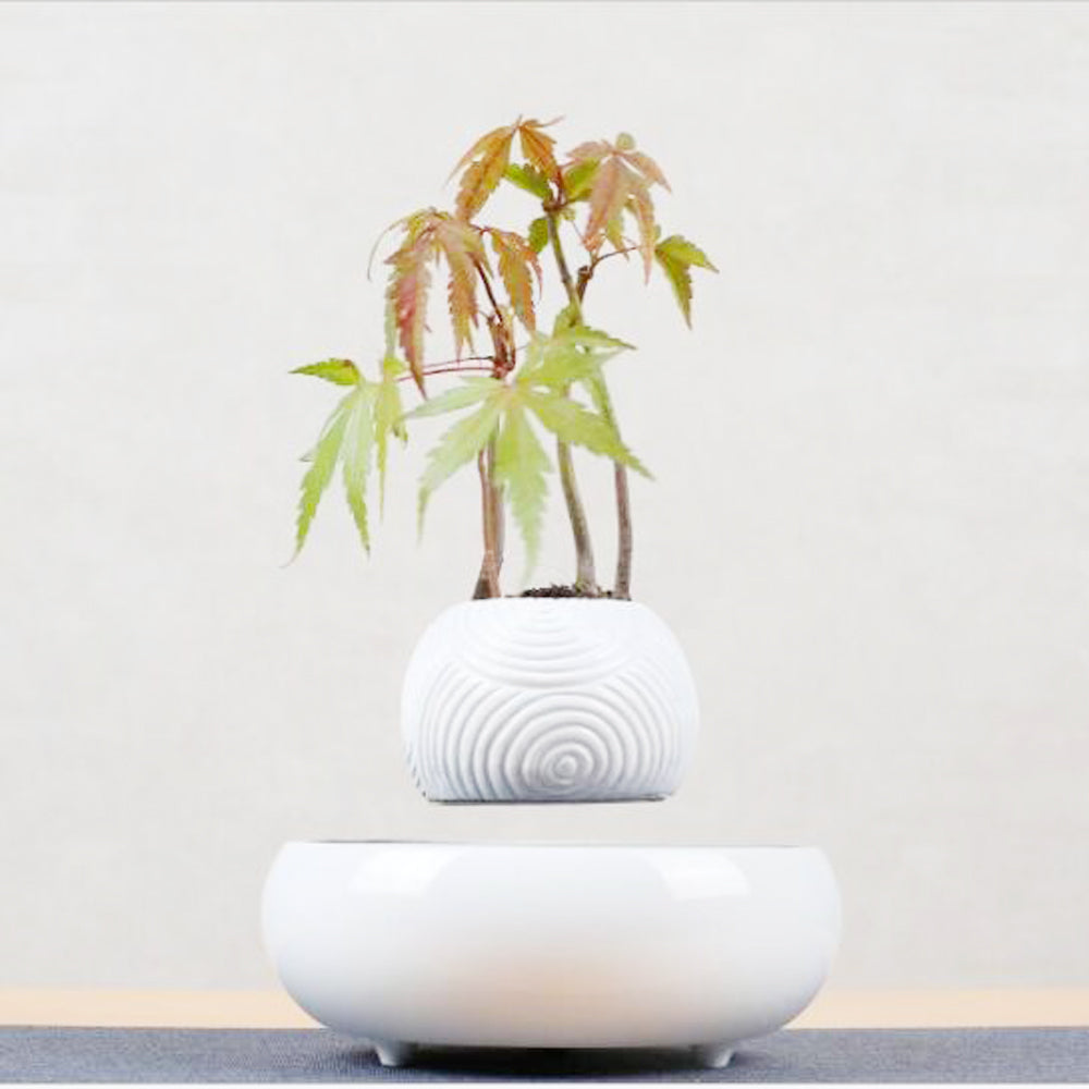 Magnetic Levitation Potted Plants - Mubimart - Artificial plant 