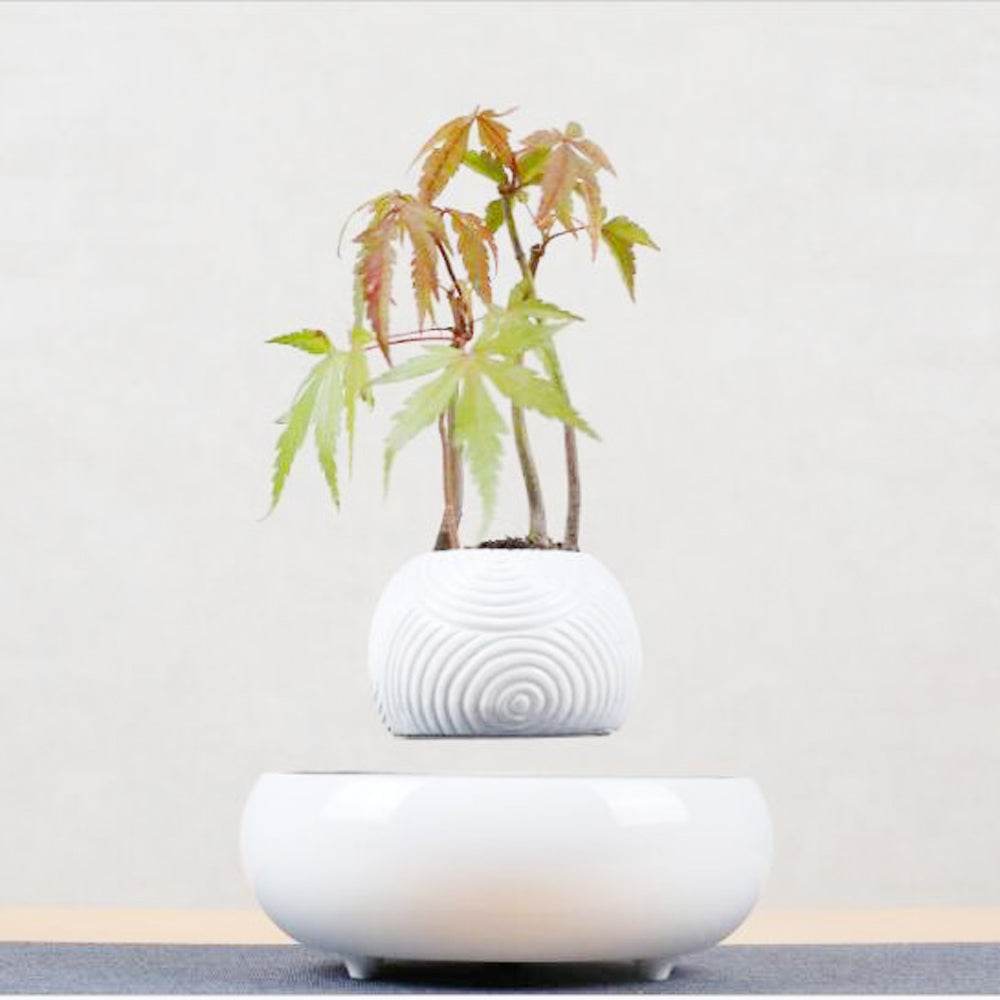 Magnetic Levitation Potted Plants - Mubimart
