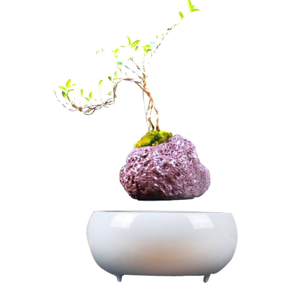 Magnetic Levitation Potted Plants - Mubimart -  