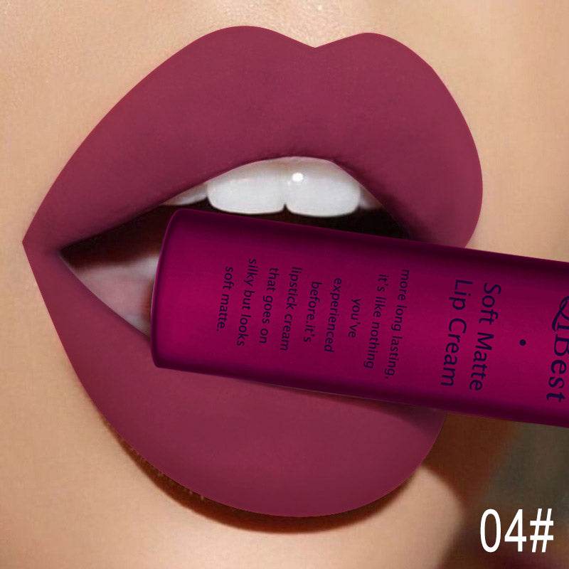 Matte Non-Stick Cup Non-Fading Lip Gloss Matte Liquid Lipstick - Mubimart