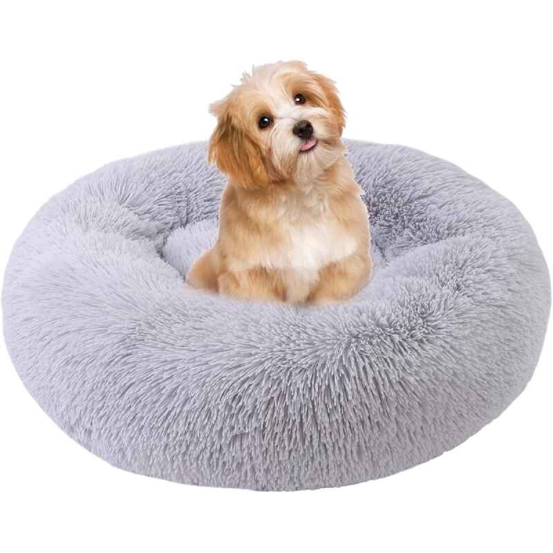 Medium Dog Beds