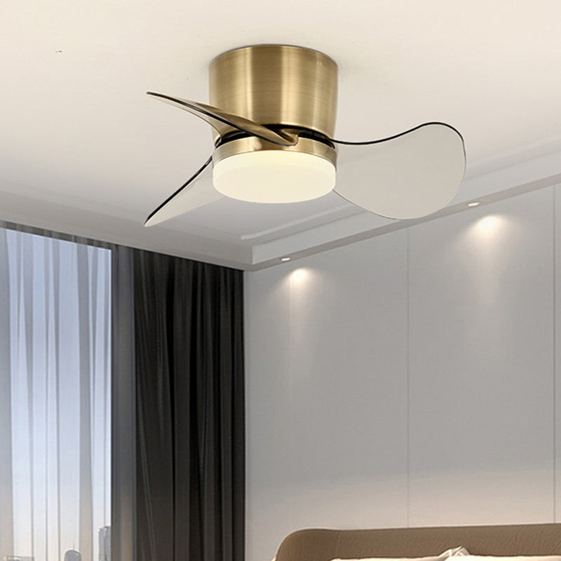 Mini Indoor Ceiling Fan Light 22 Inches - Mubimart -  