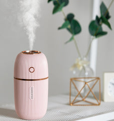 Mini Ultrasonic Air Humidifier USB - Mubimart -  