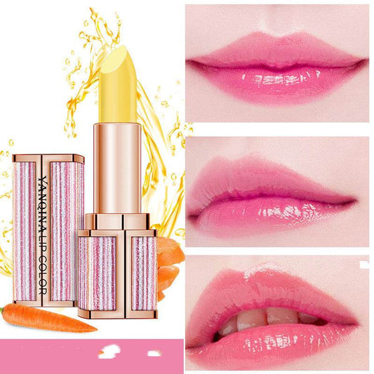 Moisturizing Lip Balm - Mubimart