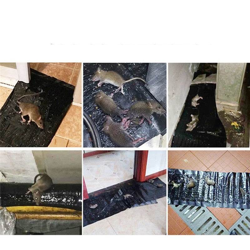 Mouse Board Sticky Mouse Glue Trap Mouse Glue Board - Mubimart