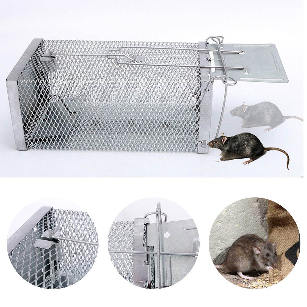 Mouse trap, mouse trap, artifact, clip, indoor - Mubimart