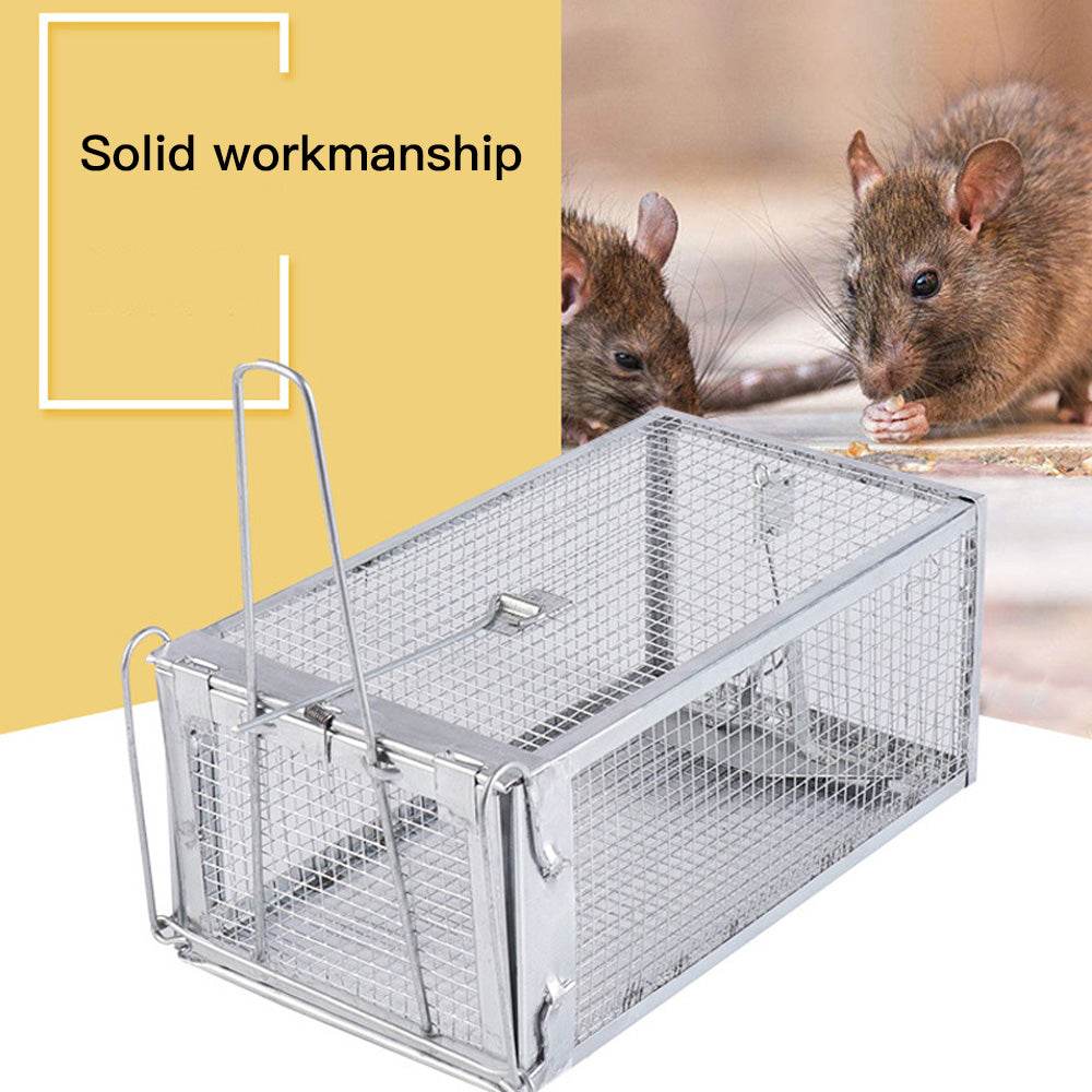 Mouse trap, mouse trap, artifact, clip, indoor - Mubimart