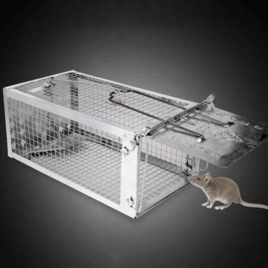 Mouse trap, mouse trap, artifact, clip, indoor - Mubimart