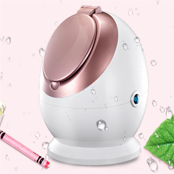 Nano Ionic Facial Steamer - Mubimart -  