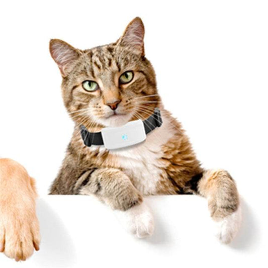 New Pet GPS Tracking Locator - Mubimart