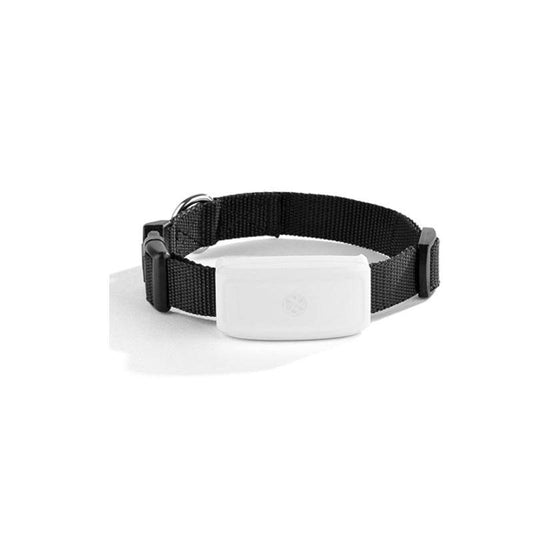 New Pet GPS Tracking Locator - Mubimart