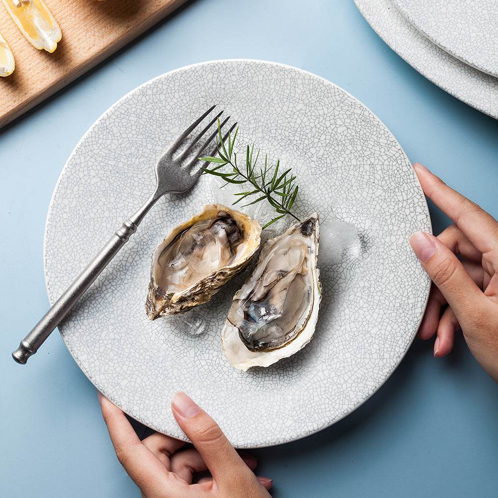 Nordic Speciality Hotel Restaurant Ceramic Plate Matte White - Mubimart