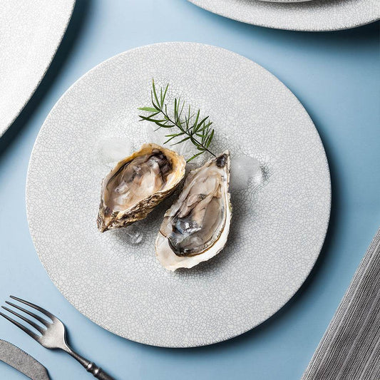 Nordic Speciality Hotel Restaurant Ceramic Plate Matte White - Mubimart