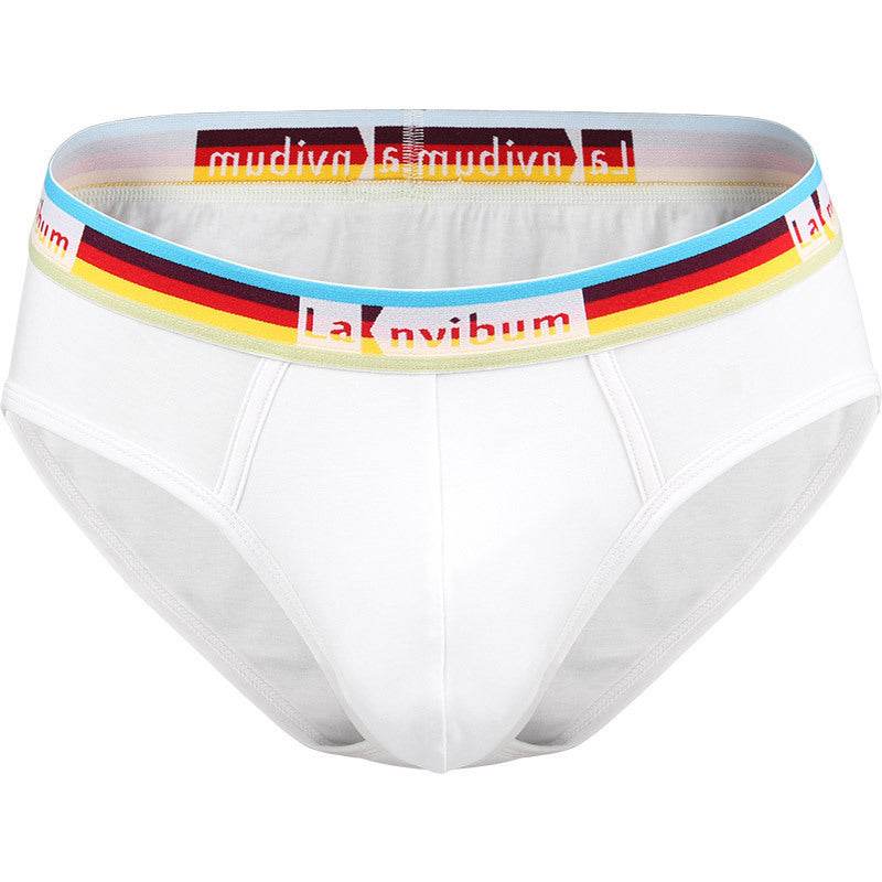 Rainbow Rubber Band Cotton Briefs - Mubimart