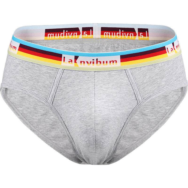 Rainbow Rubber Band Cotton Briefs - Mubimart