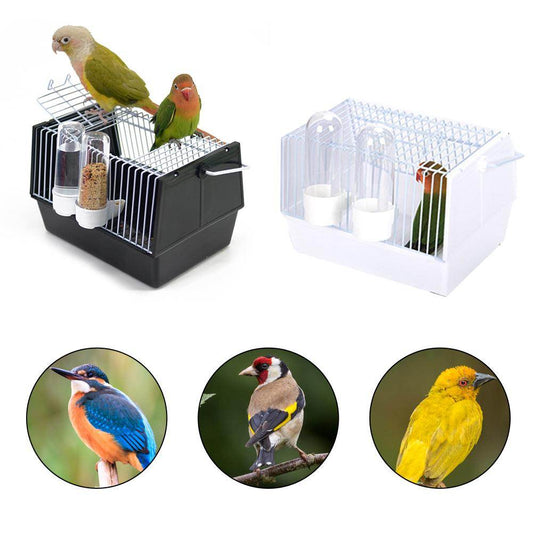 Out of the bird cage - Mubimart