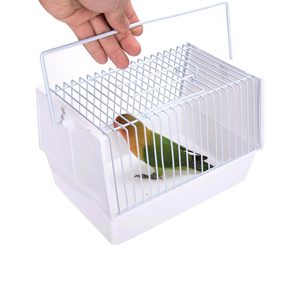 Out of the bird cage - Mubimart