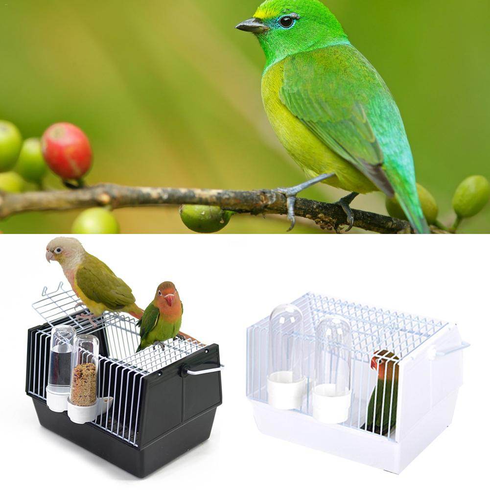 Out of the bird cage - Mubimart