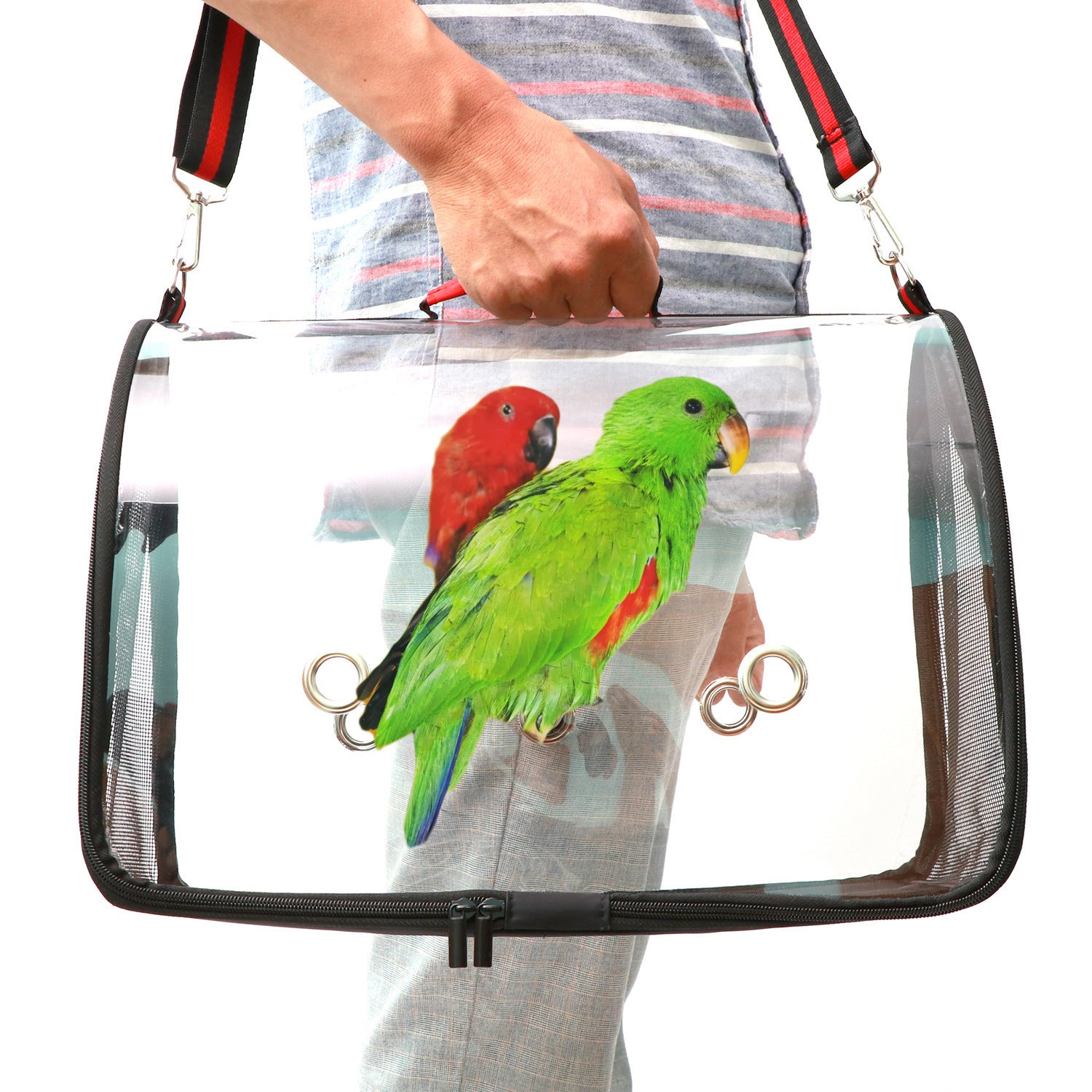 PVC Transparent Bird Cage - Mubimart - Bird Cage 