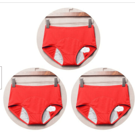 Period Leak Proof Panties Women Underwear Pants Nylon Briefs - Mubimart
