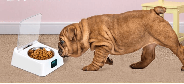 Pet 5G Bowl Automatic Pet Feeder - Mubimart