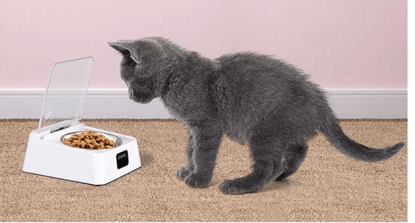 Pet 5G Bowl Automatic Pet Feeder - Mubimart