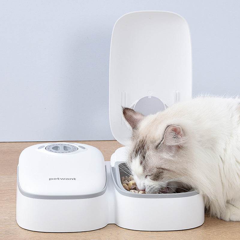 Pet Automatic Timing Feeder Puppy - Mubimart