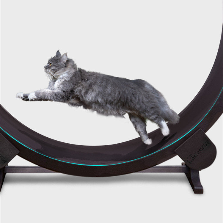 Pet Cat Running Wheel Fitness Toys - Mubimart -  