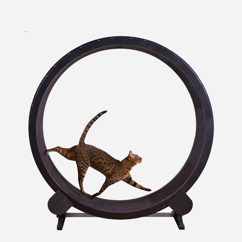 Pet Cat Running Wheel Fitness Toys - Mubimart -  