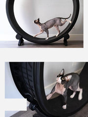 Pet Cat Running Wheel Fitness Toys - Mubimart -  