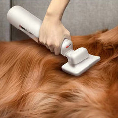 Pet Cordless Vacuum Cleaner Hair Removal Absorption - Mubimart -  