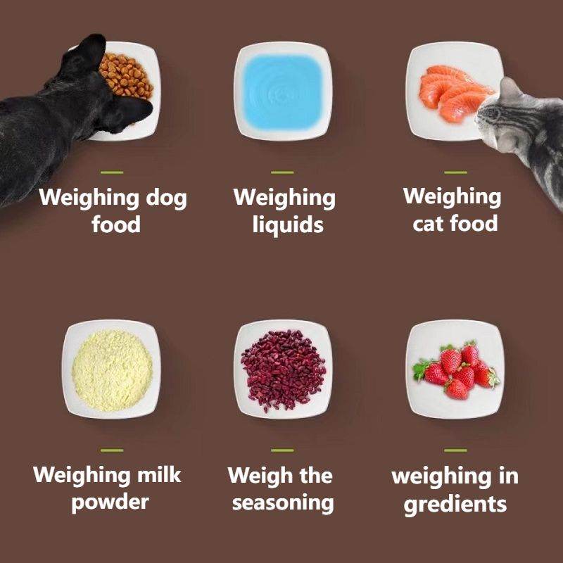 Pet Food Spoon Transparent With Scale Measurement - Mubimart