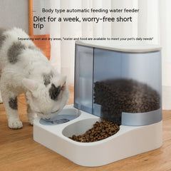 Pet Visual Automatic Pet Feeder - Mubimart -  