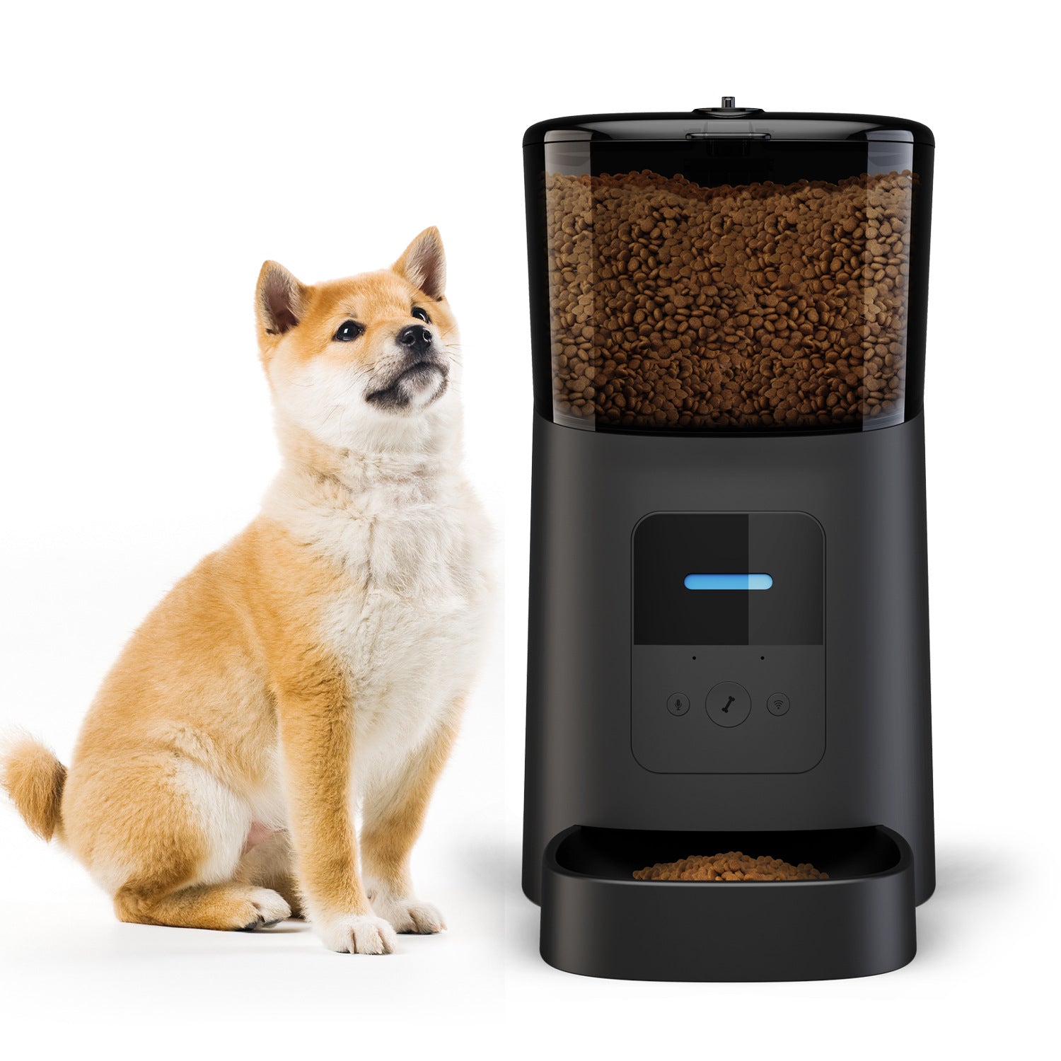 Pet feeder automatic - Mubimart -  