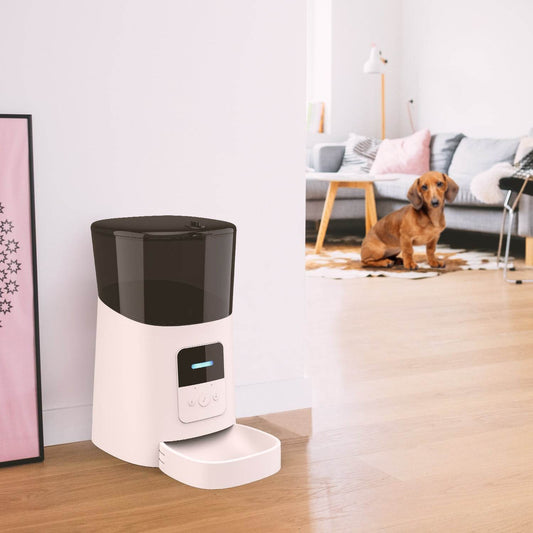Pet feeder automatic - Mubimart