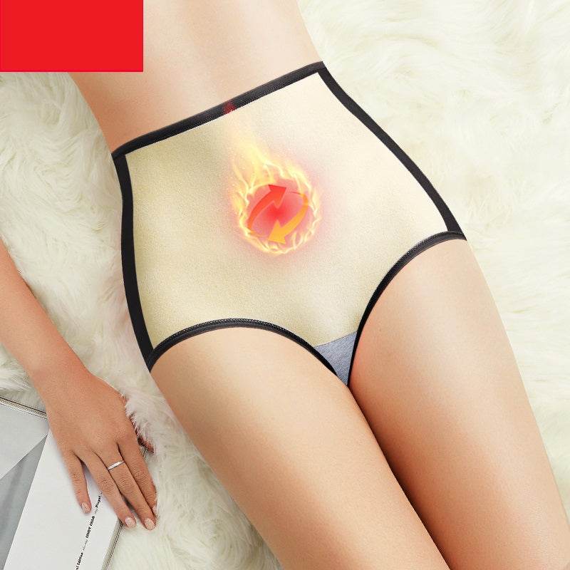 Physiological Underwear Female Leak-proof Plus Velvet Warm Cotton High Waist Abdomen Menstrual Period Big Aunt Health Pants - Mubimart