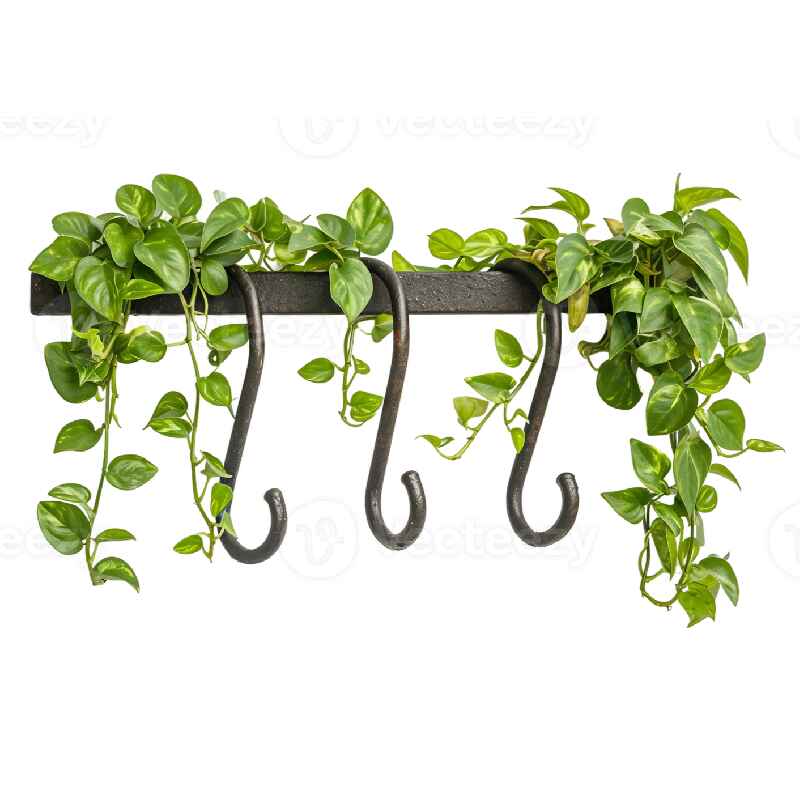 Plant Hooks