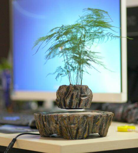 Plants float in air - Mubimart