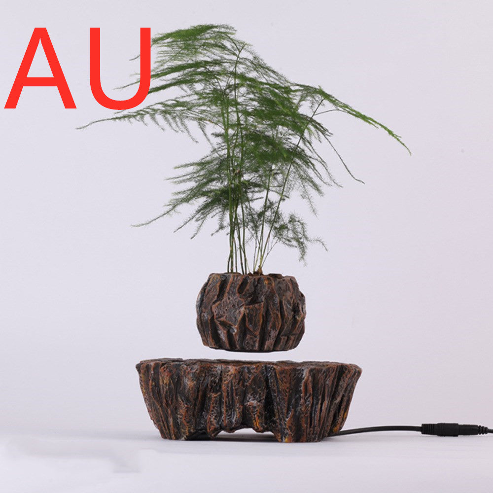 Plants float in air - Mubimart -  