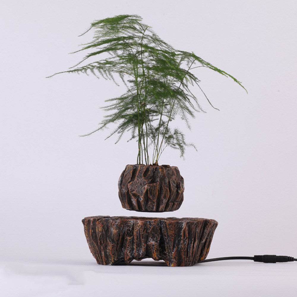 Plants float in air - Mubimart