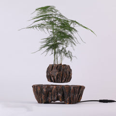 Plants float in air - Mubimart - Artificial plant 