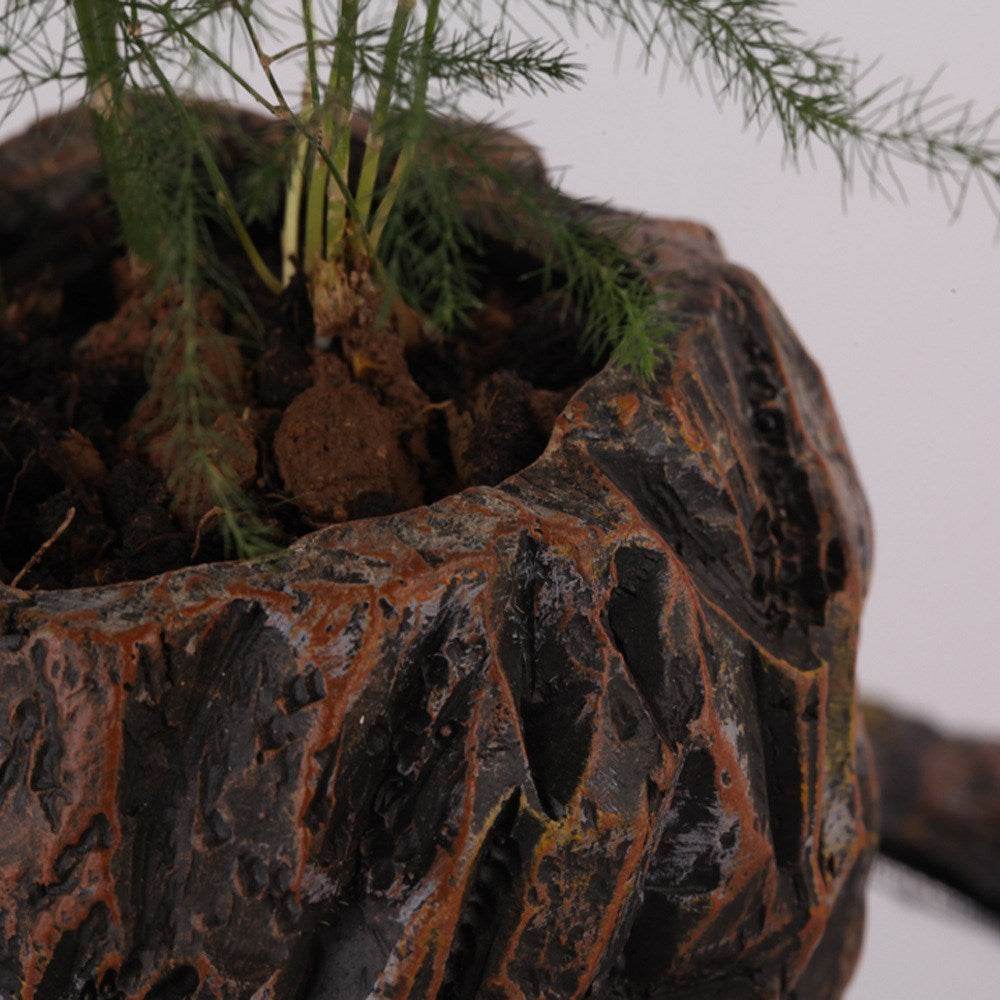 Plants float in air - Mubimart