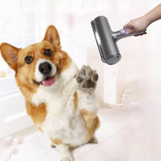Plastic Pet Roller Hair Removal Cleaner - Mubimart