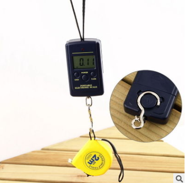 Portable Kitchen Express Portable Luggage Scale - Mubimart -  