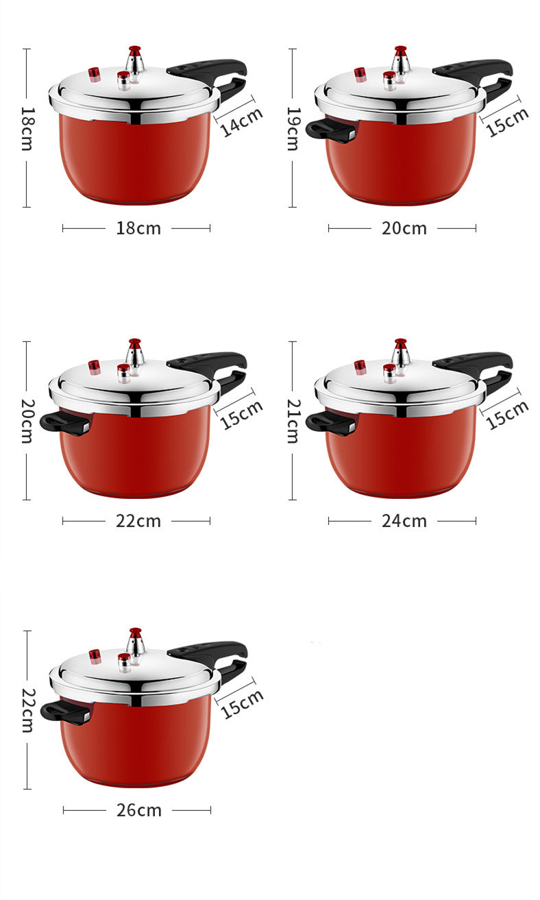 Pressure Cooker Stainless Steel Household Gas Induction Cooker - Mubimart -  