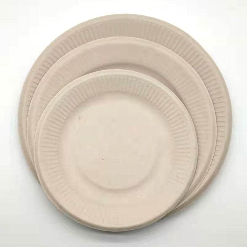 Pure pulp disposable paper plates - Mubimart