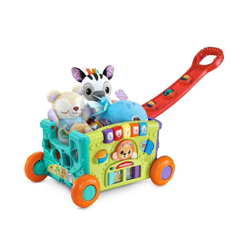 Push & Pull Toys